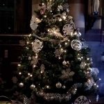 Festival of tree’s